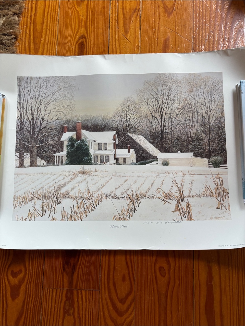 Kae Campbell “Anna’s Place” unframed signed numbered 162/500 print